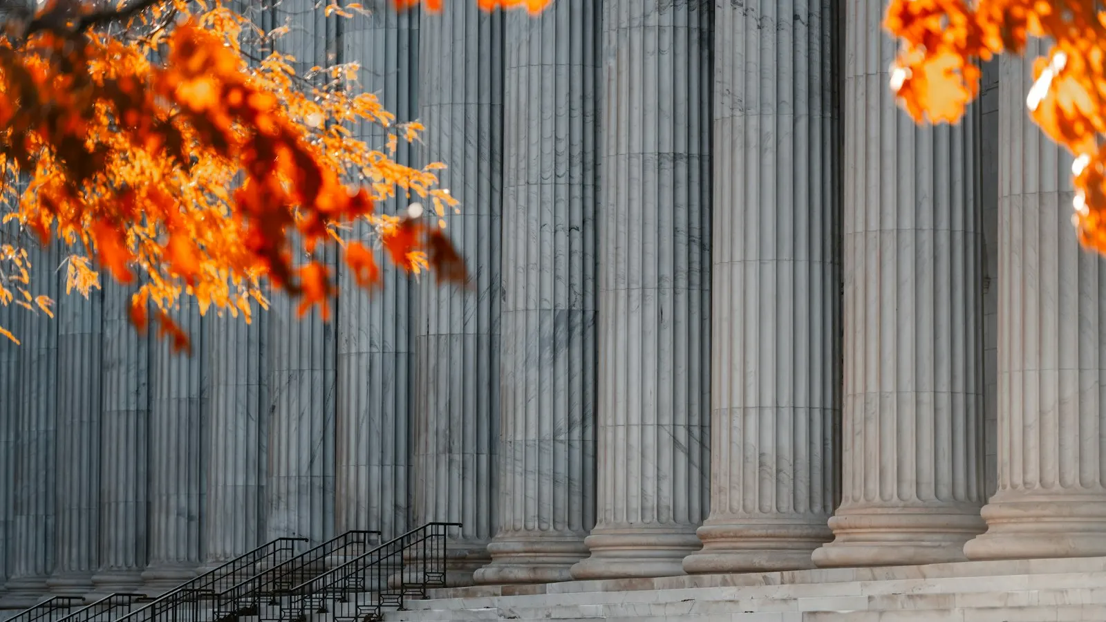 Stone columns of a courthouse framed by autumn leaves