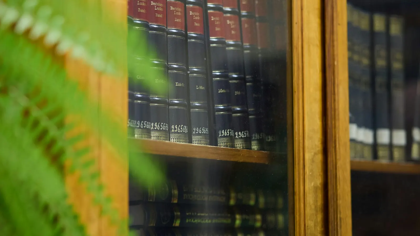 Bound law reports on library shelves
