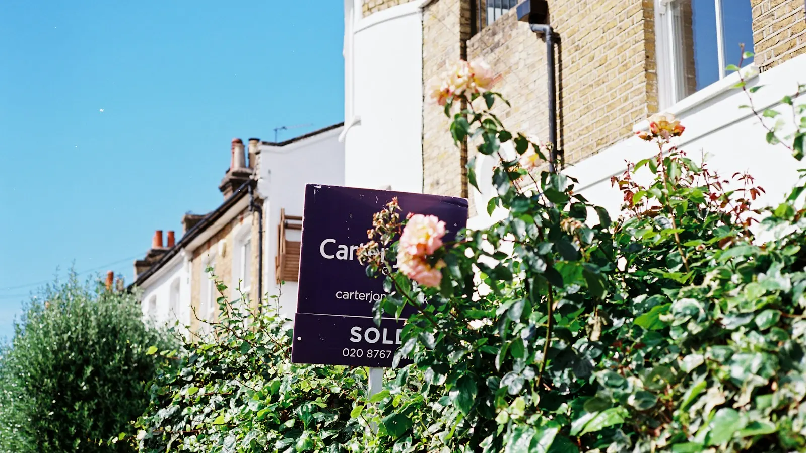 A Sold sign among roses in front of a house
