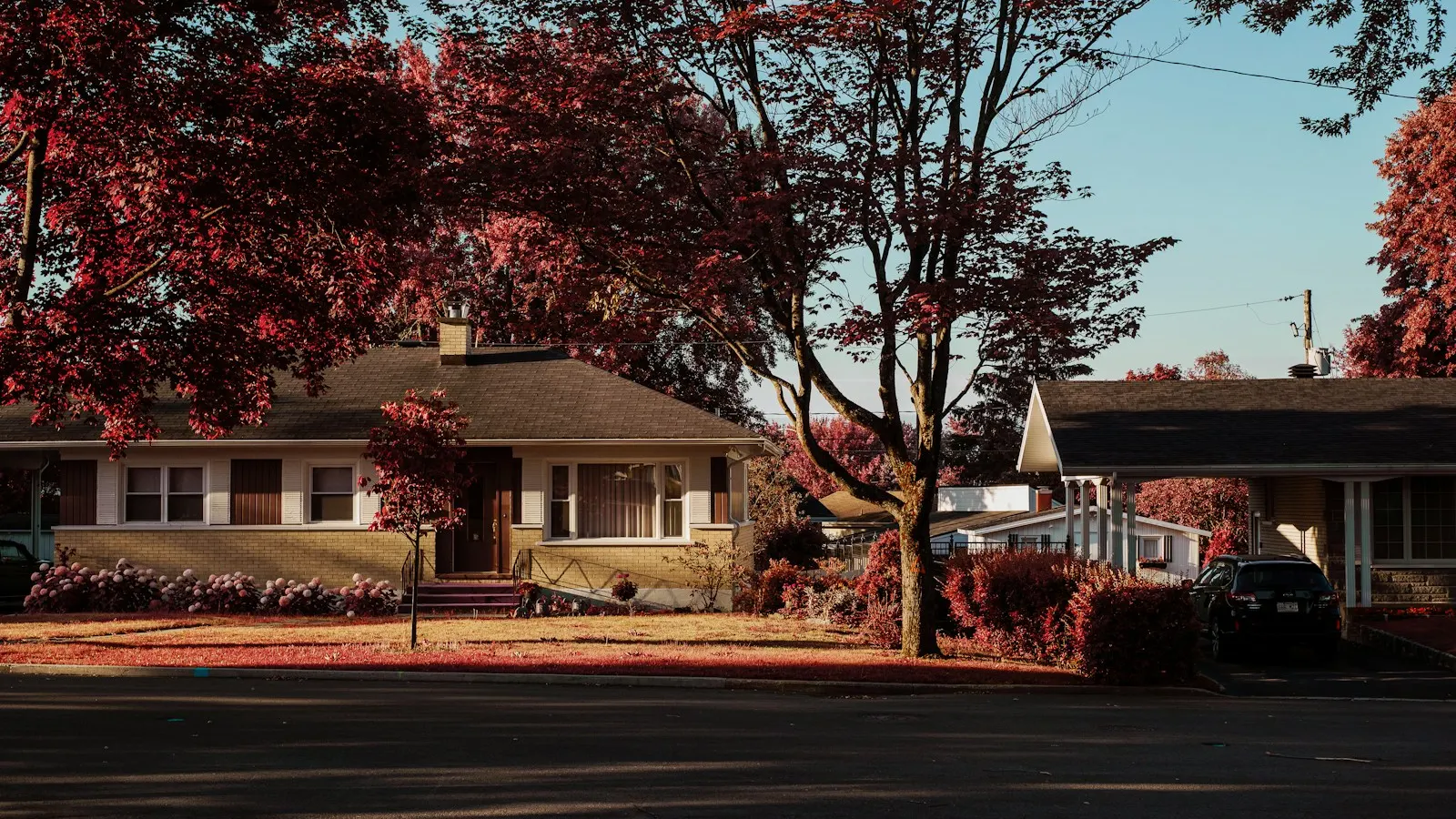 A single-family home on a tree-lined suburban street